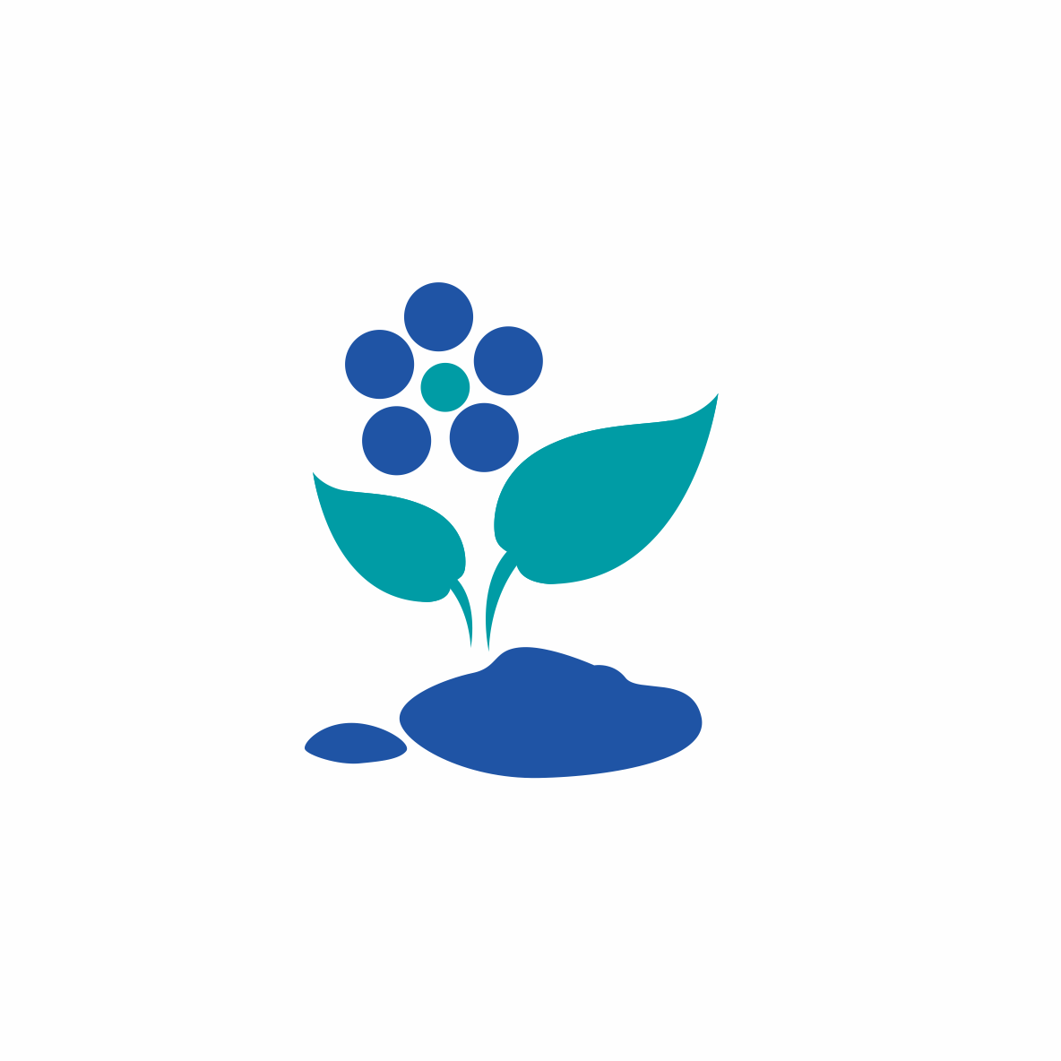 Administracja Cmentarzami